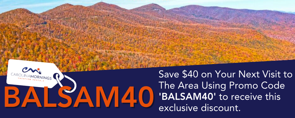 BALSAM40 banner with mountains