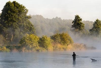 Fly Fishing and NC Wildlife Regulations